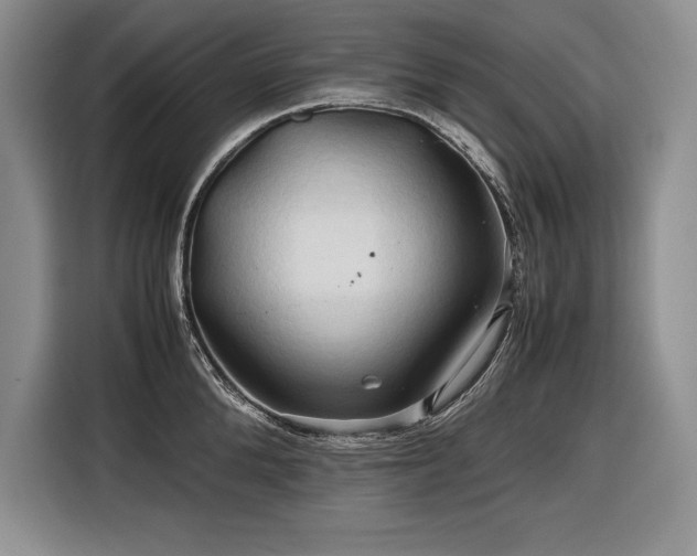 X0000116680904200912141429
