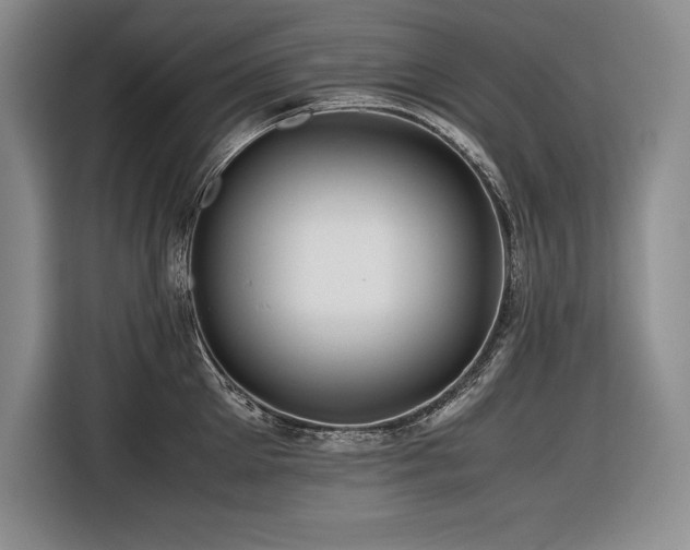 X0000116680905200912141429
