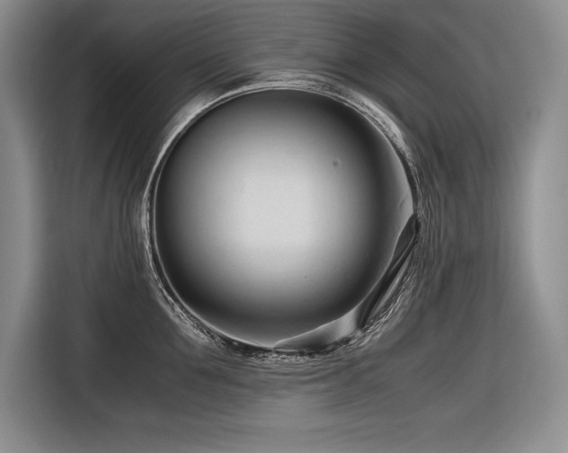 X0000116680907200912141429