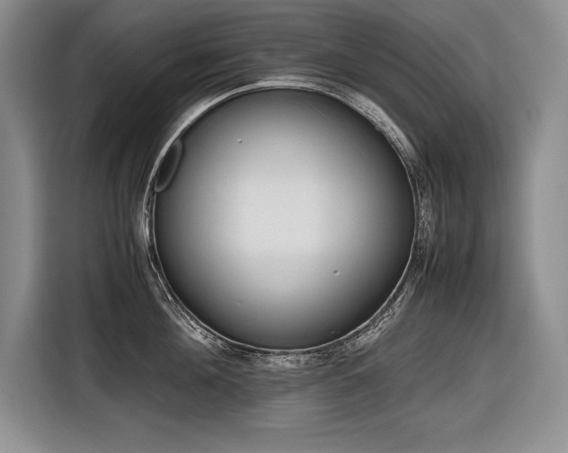 X0000116680908200912141429