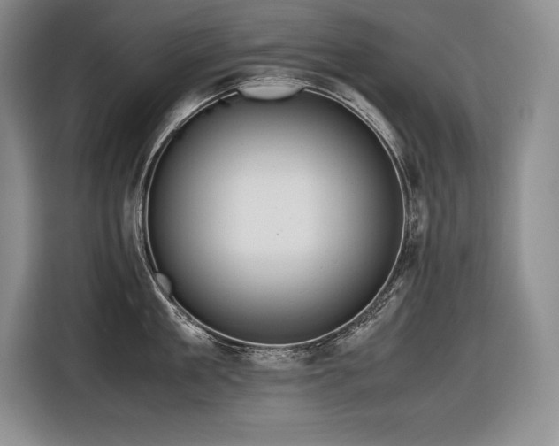 X0000116680909200912141429