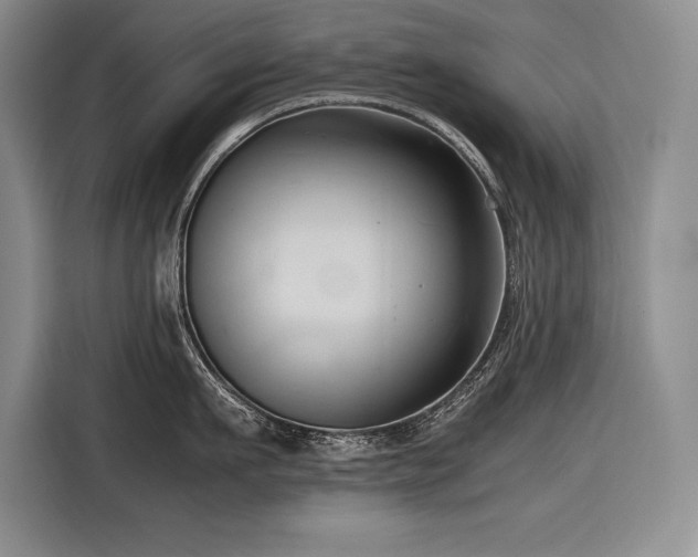 X0000116680911200912141429