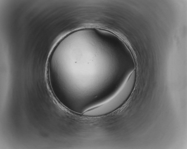 X0000116680912200912141429