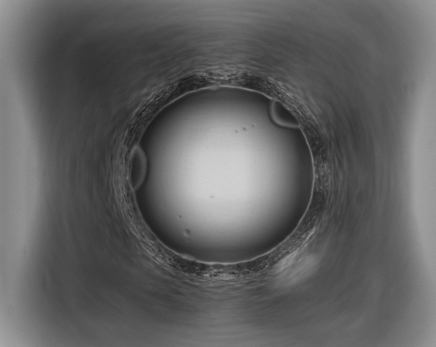 X0000116680913200912141429