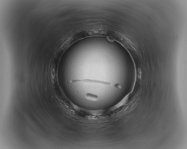 X0000116680915200912141429