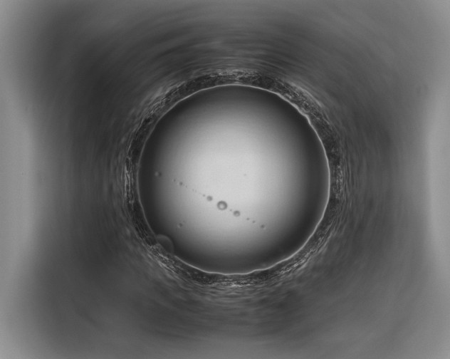 X0000116680917200912141429