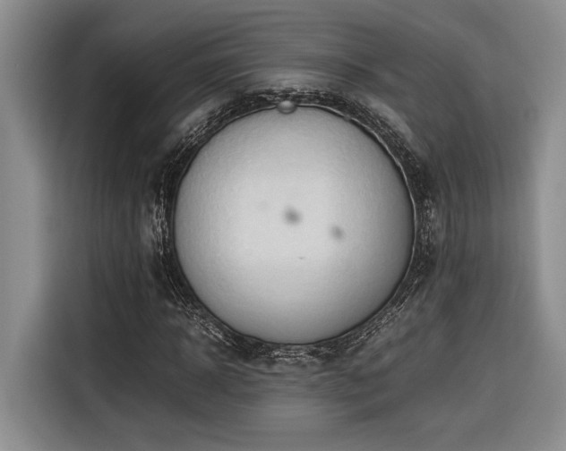 X0000116680918200912141429