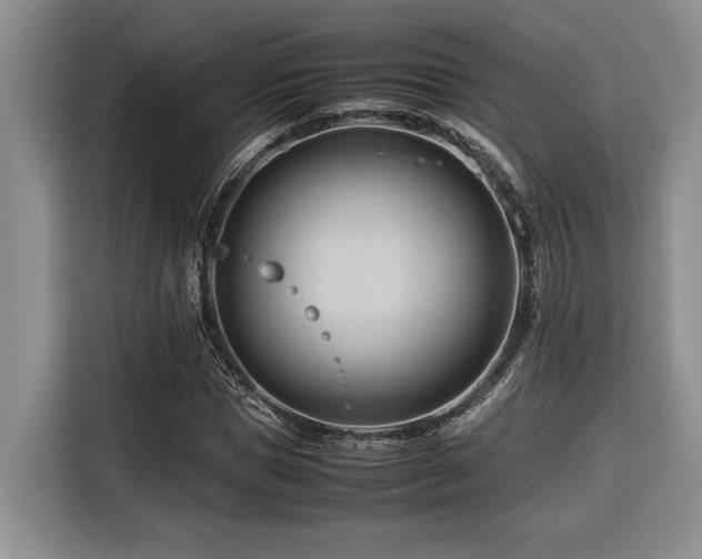 X0000116680921200912141429