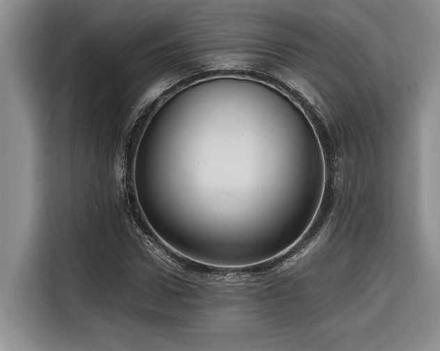 X0000116680922200912141429