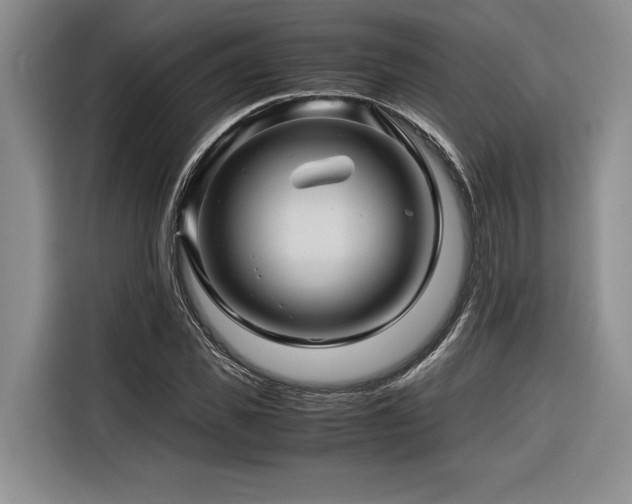 X0000116680925200912141429