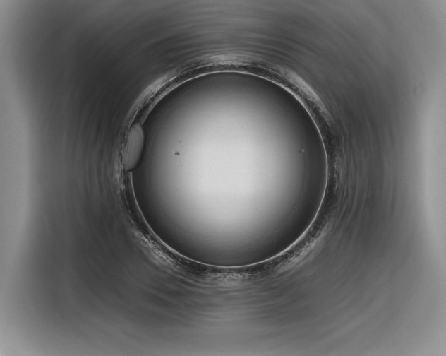 X0000116680930200912141429