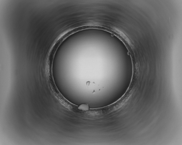 X0000116680931200912141429