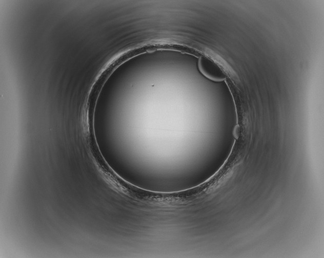 X0000116680934200912141429