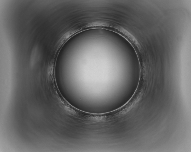 X0000116680937200912141429