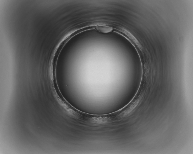 X0000116680939200912141429