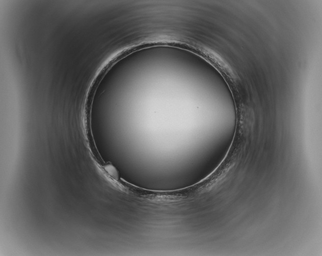 X0000116680942200912141429