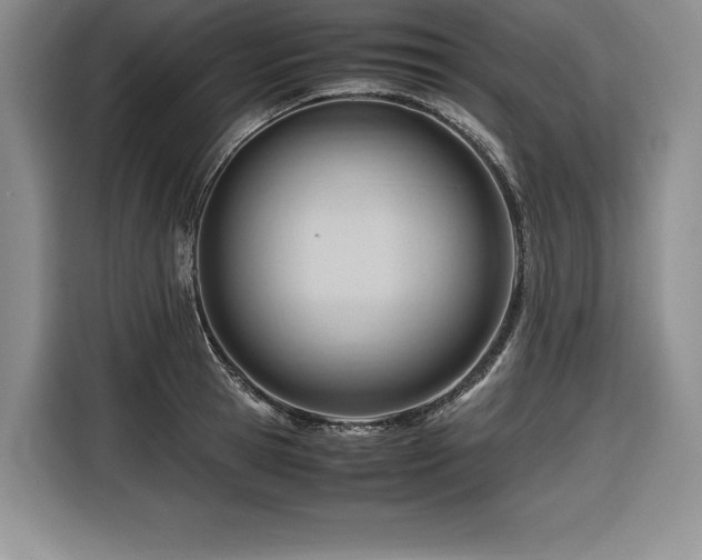 X0000116680945200912141429