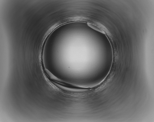 X0000116680946200912141429