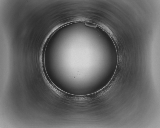 X0000116680947200912141429