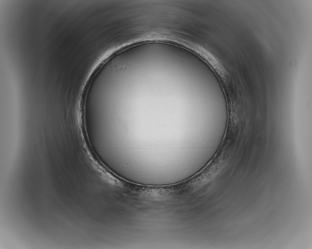 X0000116680950200912141429