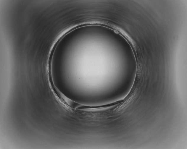 X0000116680951200912141429