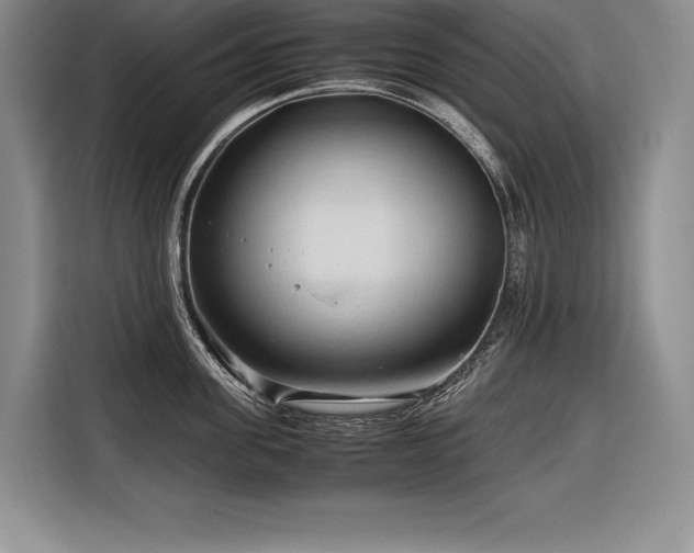 X0000116680955200912141429