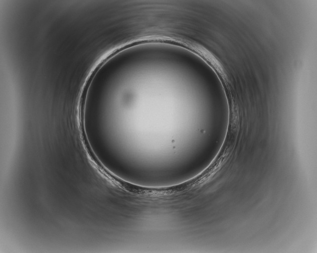 X0000116680958200912141429