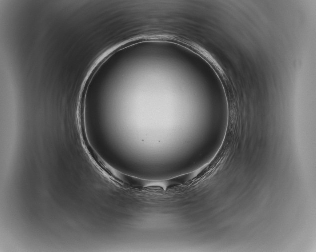 X0000116680959200912141429