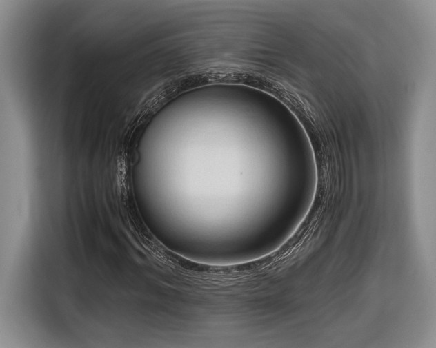 X0000116680964200912141429