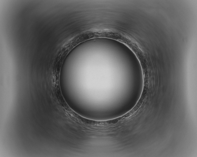 X0000116680966200912141429