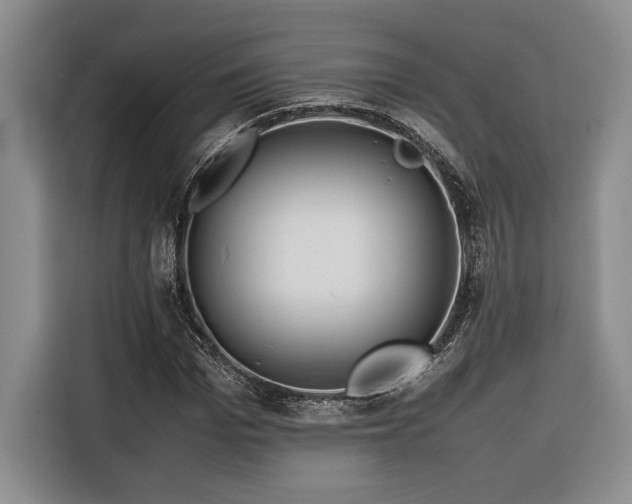 X0000116680969200912141428