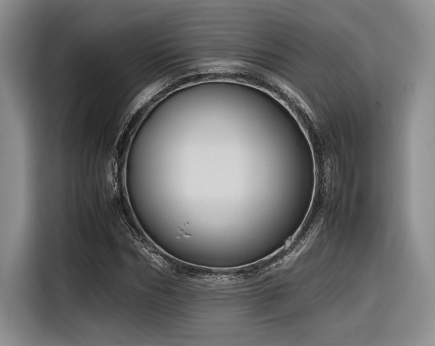 X0000116680970200912141428