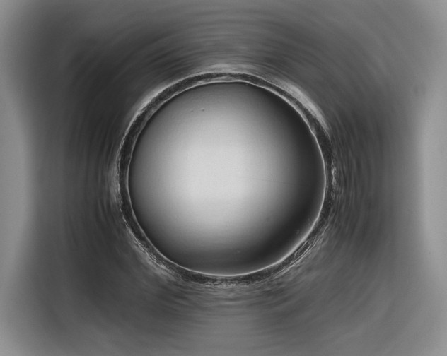 X0000116680972200912141428