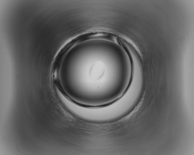 X0000116680973200912141428