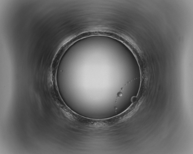 X0000116680974200912141428
