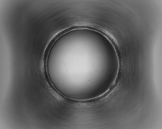 X0000116680976200912141428