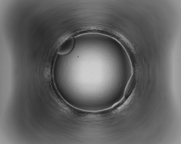 X0000116680977200912141428