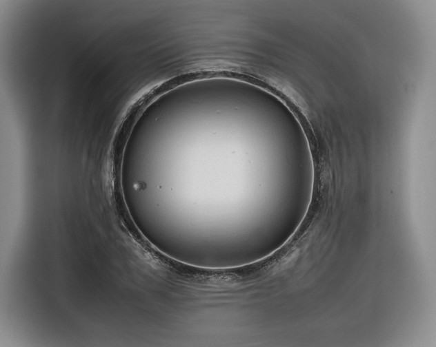 X0000116680979200912141428