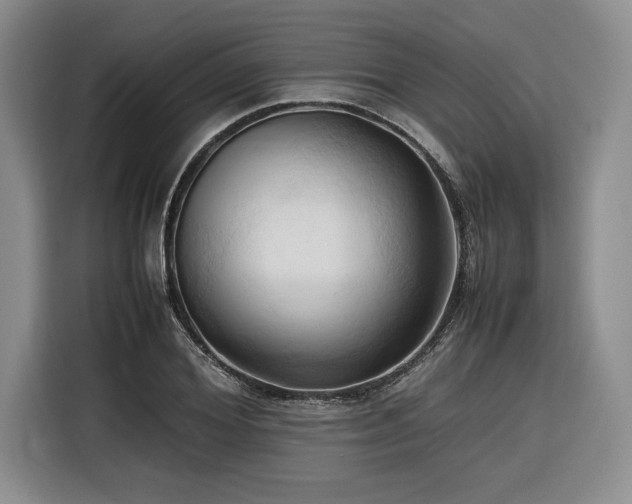 X0000116680980200912141428