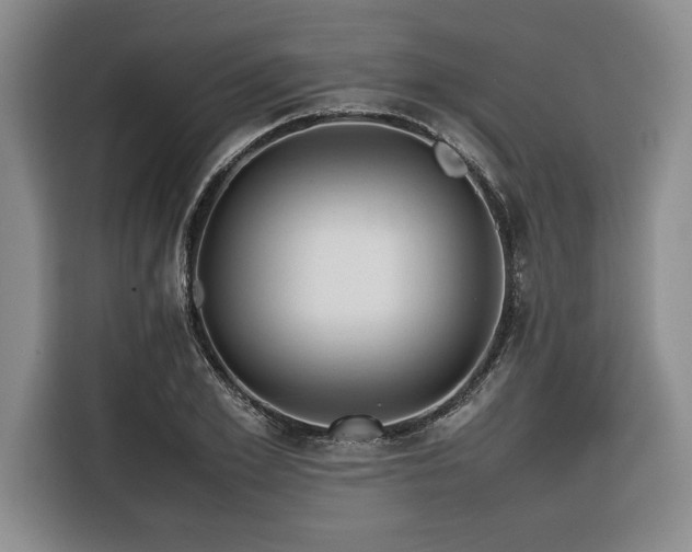 X0000116680981200912141428