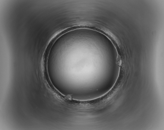 X0000116680983200912141428