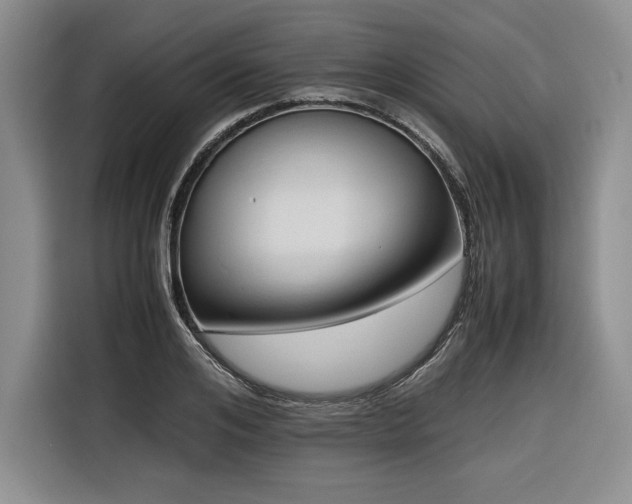 X0000116680984200912141428