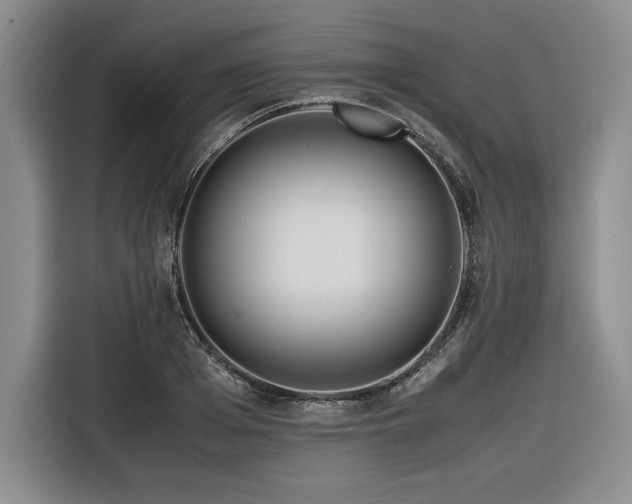 X0000116680985200912141428