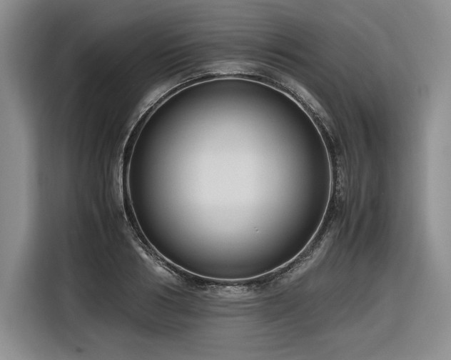 X0000116680986200912141428