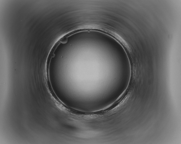 X0000116680988200912141428