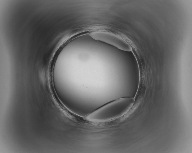 X0000116680989200912141428