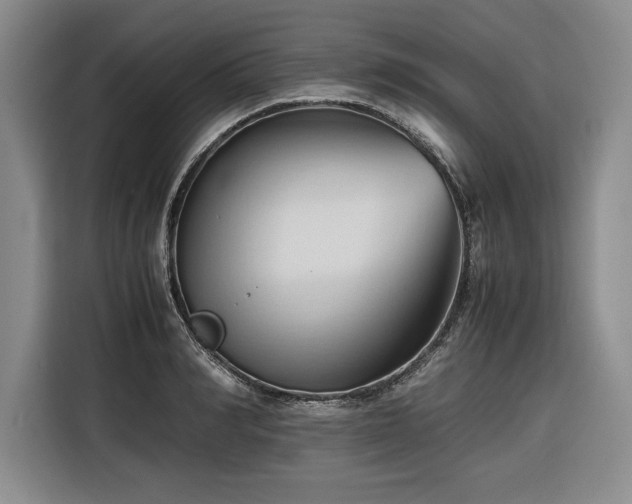 X0000116680990200912141428