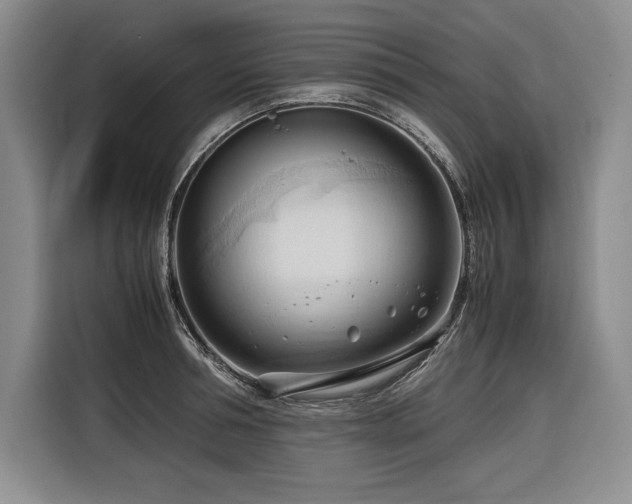 X0000116680994200912141428