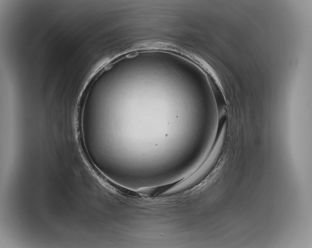 X0000116680997200912141428