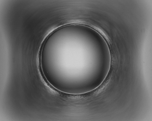 X0000116680999200912141428